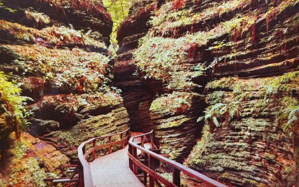 The beautiful sights along the narrow walkway of Cold Water Canyon, circa 1950.